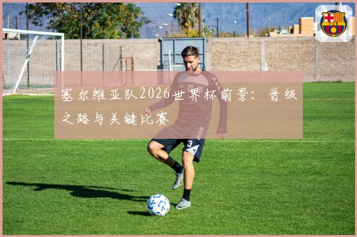 塞尔维亚队2026世界杯前景：晋级之路与关键比赛
