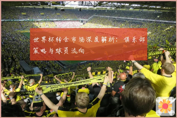 世界杯转会市场深度解析：俱乐部策略与球员流向