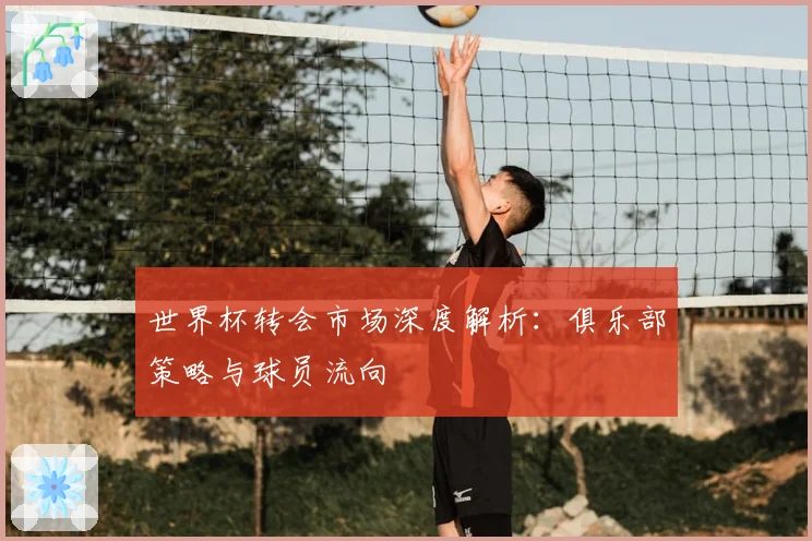 世界杯转会市场深度解析:俱乐部策略与球员流向