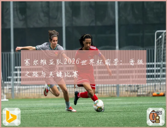 塞尔维亚队2026世界杯前景：晋级之路与关键比赛