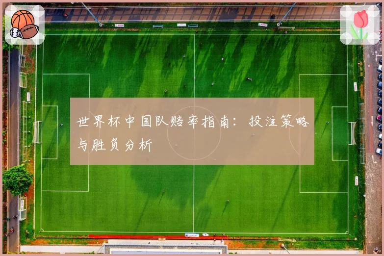 世界杯中国队赔率指南：投注策略与胜负分析